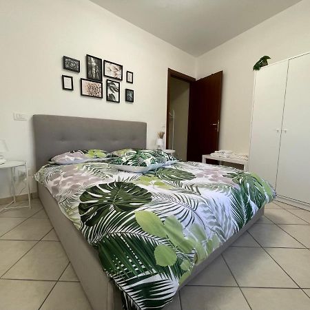 Castelli Home - Castelli Apartments อัลบาโน ลาซิอาเล ภายนอก รูปภาพ